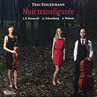 Trio Steuermann