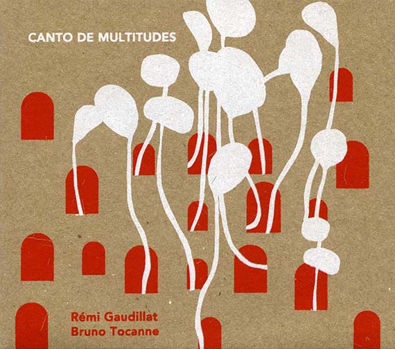 Canto de Multitudes