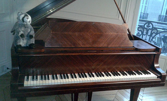 Piano et raton laveur.