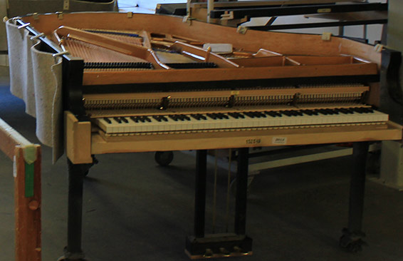 Pianos Blüthner