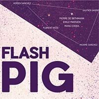 Flash Pig