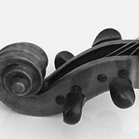 quatuor hagen