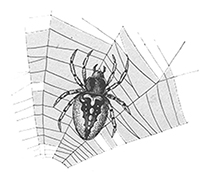 imagette de bas de page no 1802