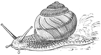 imagette de bas de page no 1926