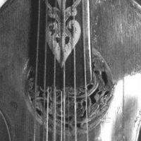 Les violes