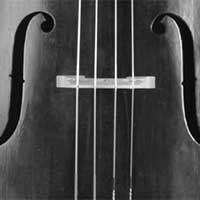 violoncelle