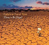 Fabrice Tarel trio