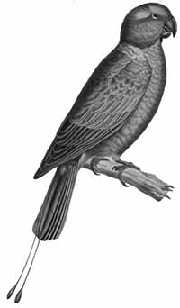 cul_2205