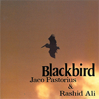 Jaco Pastorius : « Purple Haze »