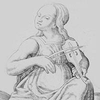 cul_2509