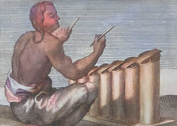 image novembre 2025
