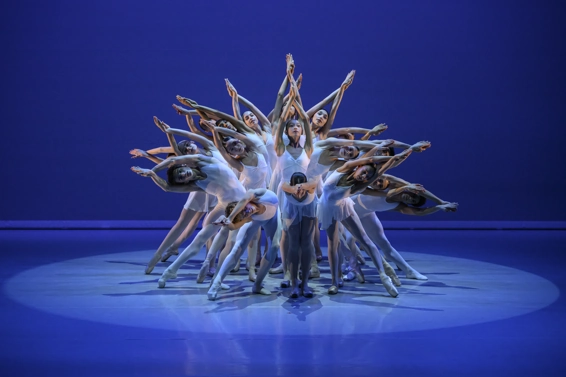 Andante. Photographie © Alice Blangero.