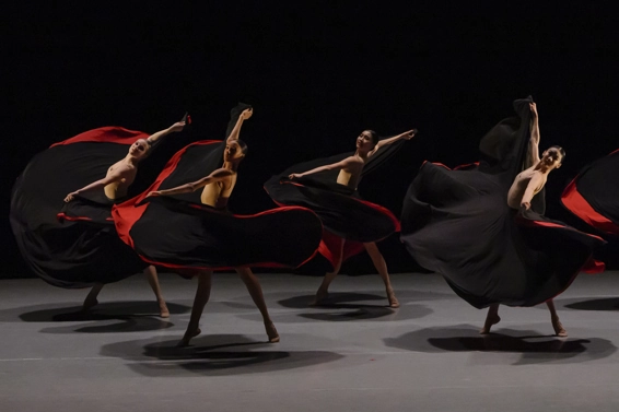 Sang mêlé. Photographie © Alice Blangero.