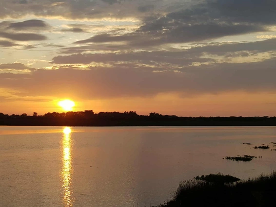 Soleil couchant sur le havre de Portbail. Photographie © Patricia Segretinat.