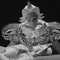 Les contes de Perrault,