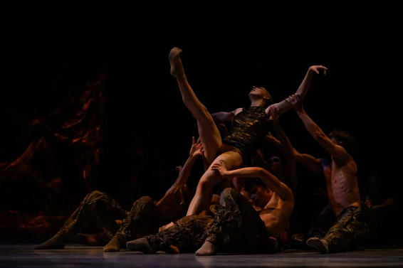 Anémones. Photographie © Alice Blangero.