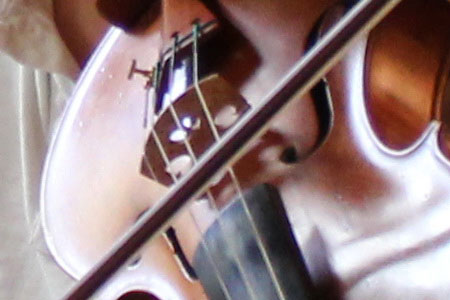 Violon