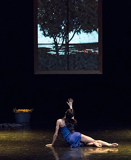 Diana Vishneva. Woman in a Room. Photographie © Gene Schiavone.