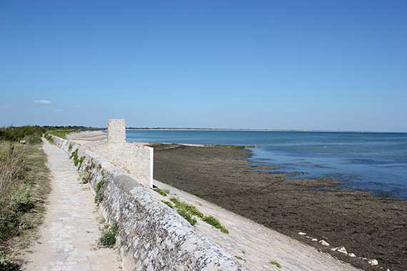 Île de Ré