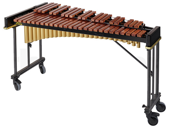 Musique Xylophone en Bois, Bois Percussion Instrument de Musique